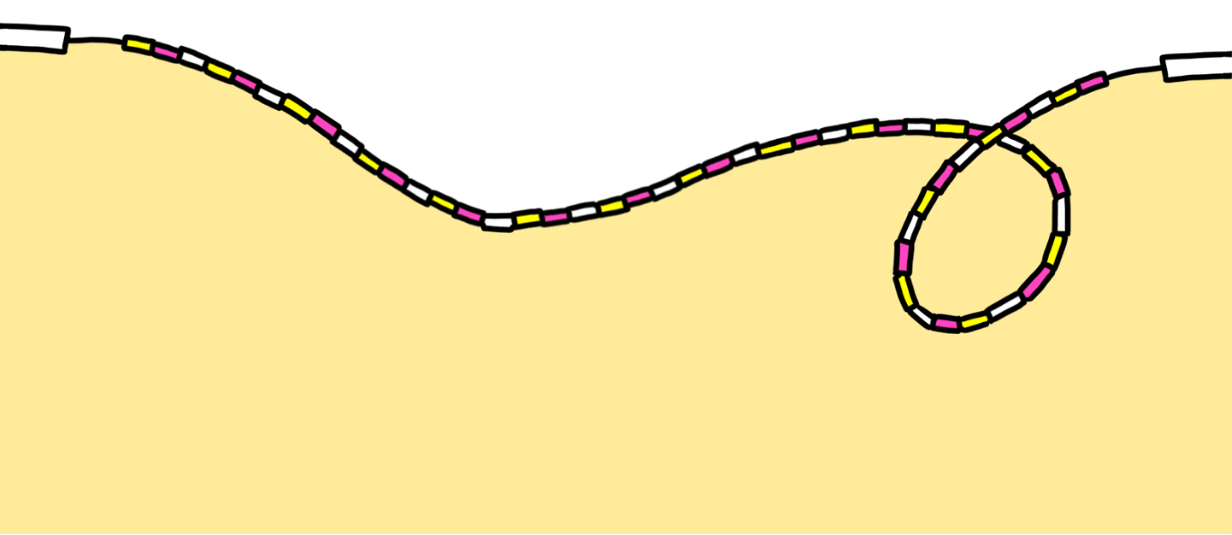 全能跳繩挑戰賽